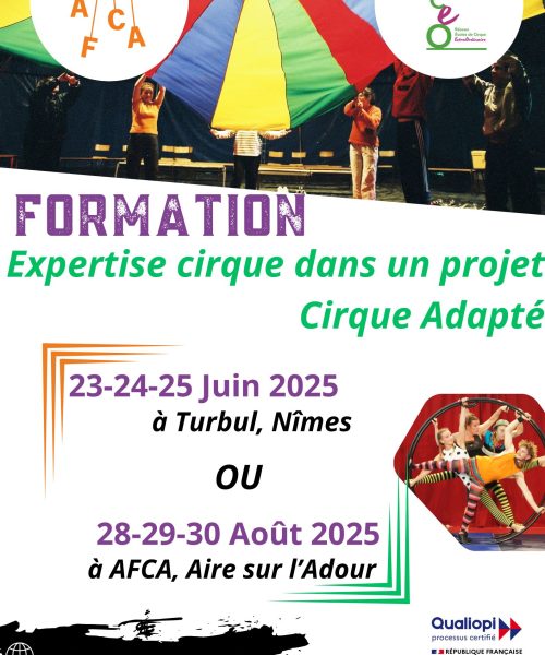 expertise cirque dans un projet cirque adapté